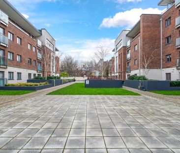 Hyde Square, South Circular Road, Dublin 8, D08 X073 - Photo 4