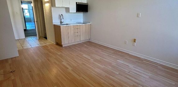 Studio - Saint-Charles-Borromée - $1,049 /mo - Photo 2