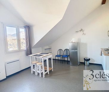 Location Appartement 1 pièce 25m² - Photo 4
