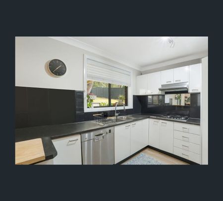 15 Cockatiel Street, Toronto, NSW 2283 - Photo 5