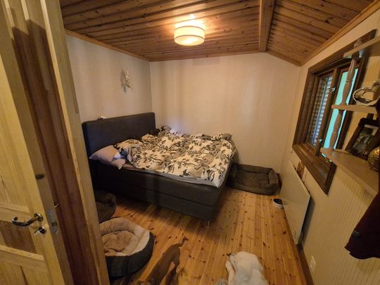 Auktsjaur, Arvidsjaur - Photo 1