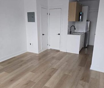 1 CH - 1 SDB - Montréal - $1,190 /mo - Photo 3