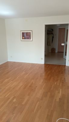 Snabbvingegatan, Trollhättan - Photo 1