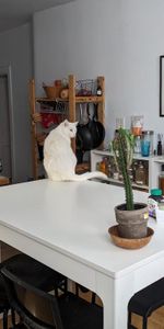 6 1/2 Hochelaga cession de bail - Photo 4