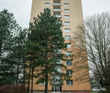 Pronájem 1+kk / upravené 1+1 | Žitná, Brno Řečkovice - Photo 6