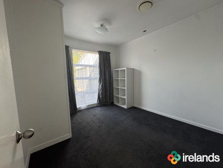 Spacious Family Living in Prime Ilam Location - Photo 4