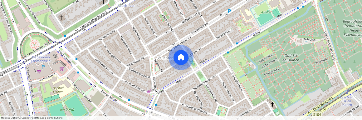 Vruchtenbuurt, 2564 SJ, Perenstraat, Den Haag