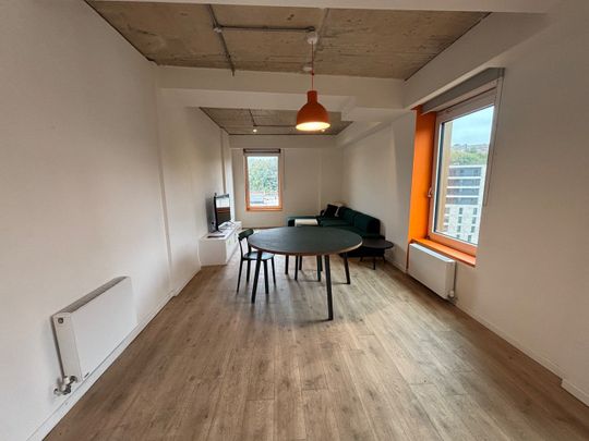 Room in a Shared Flat, The Furlong, BN2 - Photo 1