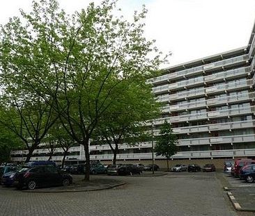 Zernikeplaats 0ong, 3068 Rotterdam, Nederland - Foto 3