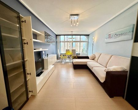 RENOVATED STUDIO FOR RENT IN TORREVIEJA - ALICANTE PROVINCE - Photo 5