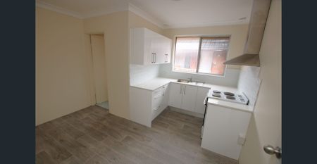 Newly Renovated Throughout - Photo 4