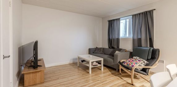 Des Cèdres 3 ½ Entièrement Meublé à Louer Limoilou Juillet 2026 - Photo 2