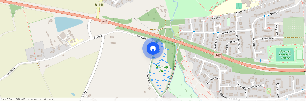 Scarning Fen, Dereham, NR19