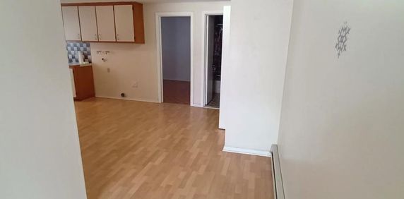 GRAND 3 1/2 AVEC PORTE PATIO DEMI SOUS-SOL LIBRE - Photo 2