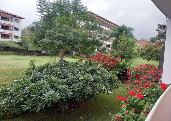 Piso En alquiler Calle Luis Rodríguez Figueroa, Distrito Botánico, Puerto de la Cruz