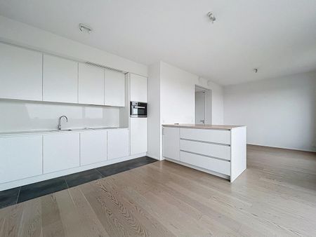 Observatory : Magnificent one-bedroom flat with terrace! - Photo 5
