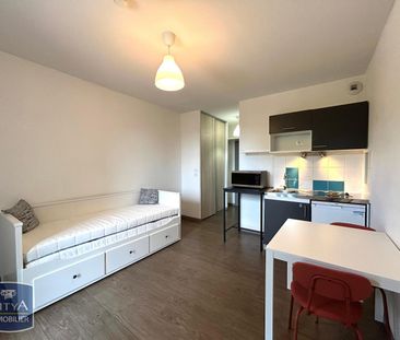 Location Appartement 1 pièce 19m² LIMONEST 69760 - Photo 2