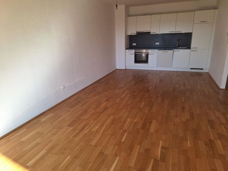 Wohnen über den Dächern von Linz - ideale 2 Zi-Wohnung! - Foto 4
