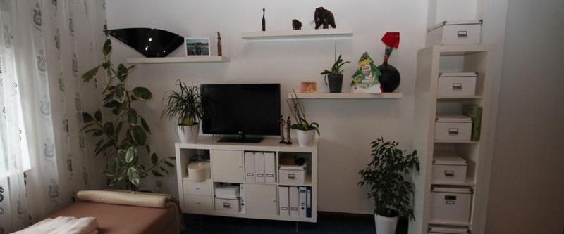 Altbauwohnung mit EBK auf 52 m² im alten Ortskern von Frankfurt/Griesheim - Foto 1