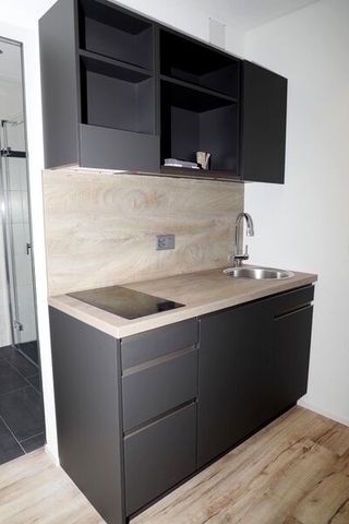 1-ROOM APARTMENT IN REICHENBURG (SZ), FURNISHED - Foto 5