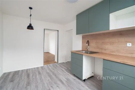 Nabídka pronájmu atraktivního bytu 2+1 po rekonstrukci s balkonem a sklepem, 9. května 423, 25741 Týnec nad Sázavou, okamžitě volný - Фото 3