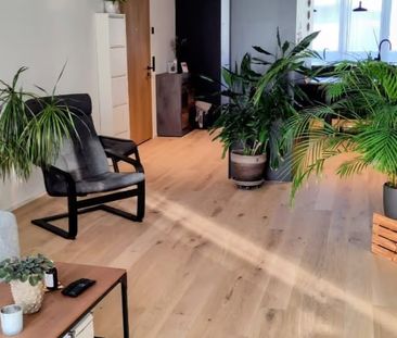 2.5 Zimmer, 82 m² - Foto 3