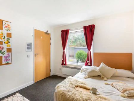 Classic Room - 4 Bed Shared House - Photo 2