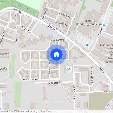 Thorshammer 14, 7500 Holstebro