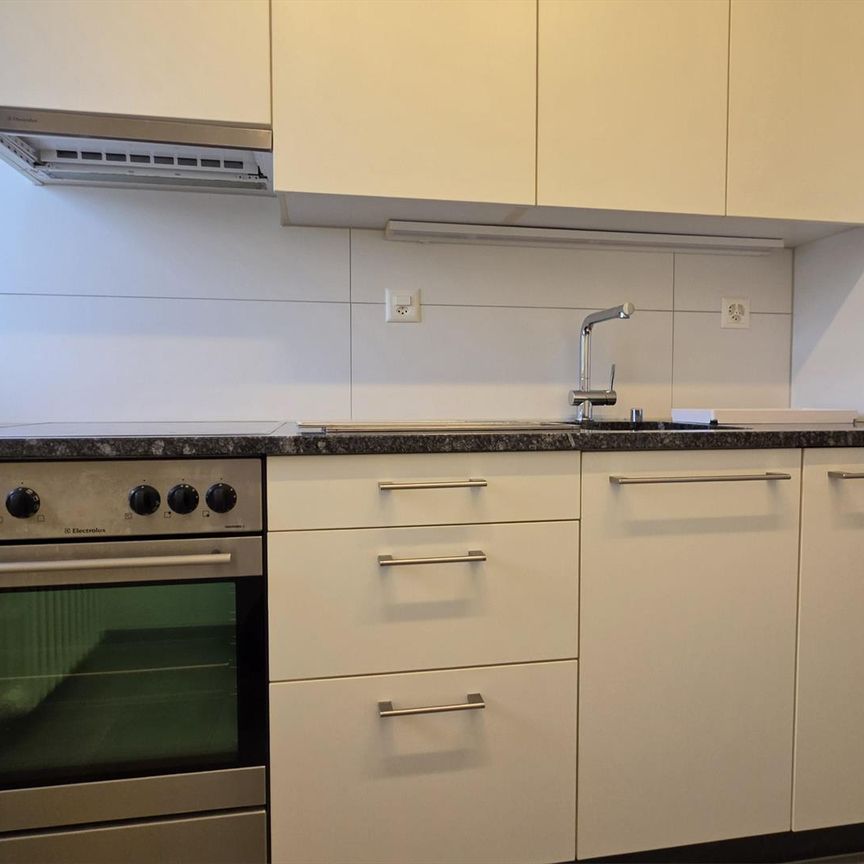 2.0 Zimmerwohnung in Winterthur - Foto 1