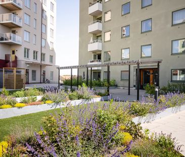 Södra Långgatan 19, Råsunda - Foto 2