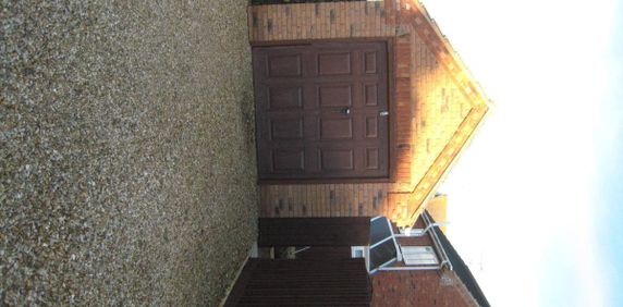 Tulip Fields - Photo 2