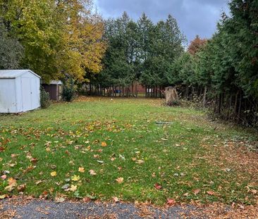 For Lease - 43 Maple Grove Avenue Unit# Basement, Richmond Hill, On... - Photo 3