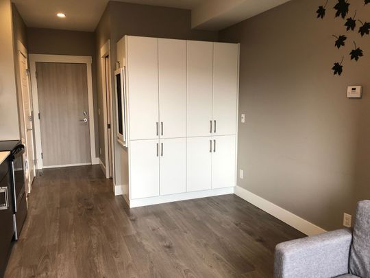 Furnished Studio near Downtown (#442) - Photo 1