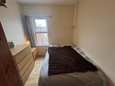 41 Pretoria Street, Stranmillis, Belfast, BT9 5AQ - Photo 3