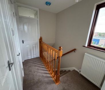 33 Churchill Place, Waringstown, BT66 7QS - Photo 2