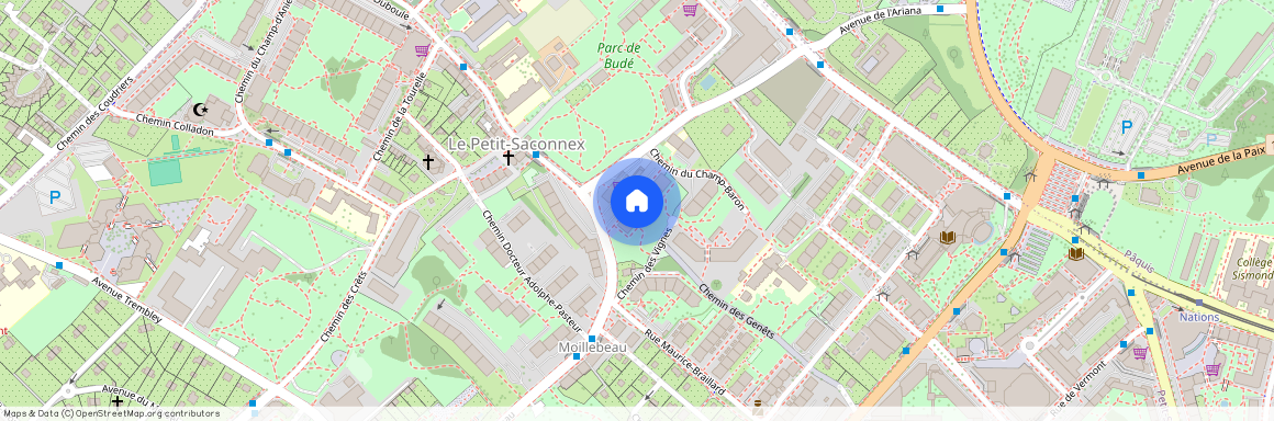 1209, Genève, Rue De Moillebeau, 52