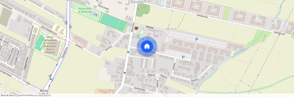 ul. Radosna, Zalasewo, Swarzędz, poznański, wielkopolskie