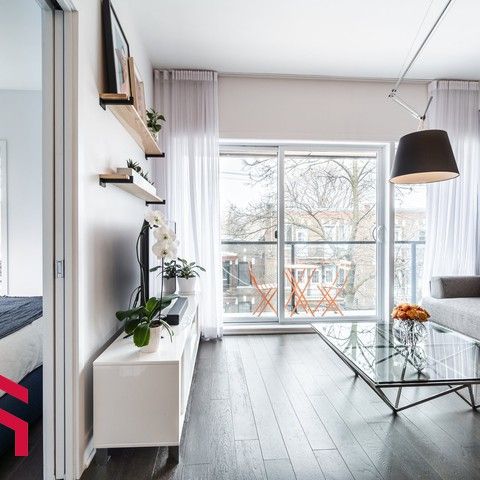 Appartement Rosemont/La Petite-Patrie (Montréal) À Louer - Photo 1
