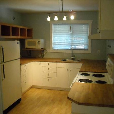 #7 - 1520 Piercy Ave - Photo 3