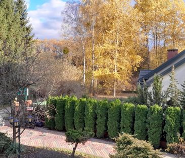 Piaseczyński (pow.), Piaseczno (gm.), Złotokłos - Zdjęcie 5