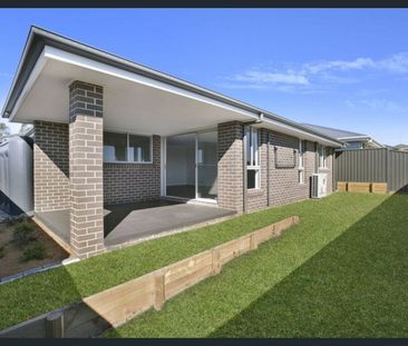 Modern Three Bedroom Home in Prime Narellan Location - Photo 5