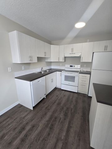 Beautiful Modern One Bedroom Available Now - Photo 5