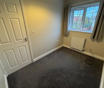 Mouse Lane - Photo 6