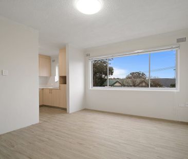 Vibrant 2 Bedroom Unit in Leichhardt - Photo 4
