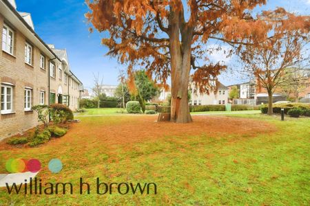 Cedar Avenue - Photo 4