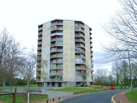 Location appartement 1 pièce 31.65 m2 à Chambray-lès-Tours - Photo 3