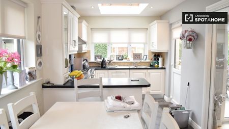 Charming room in 3-bedroom house, Dublin - Photo 4
