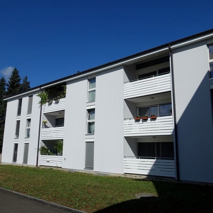 Appartement de 4.5 pièces au rez-de-chaussée - Photo 2