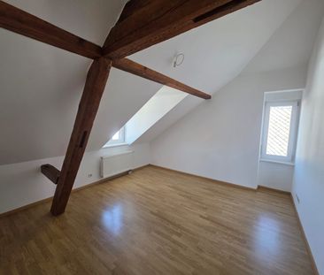 Location Appartement 3 pièces 53m² ALTKIRCH 68130 - Photo 5