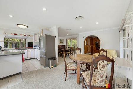 LILLI PILLI NSW - Photo 5